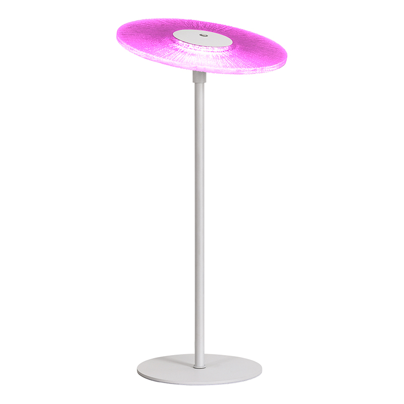 ໂຄມໄຟ LED ທີ່ທັນສະໄຫມທີ່ມີຮົ່ມ RGB